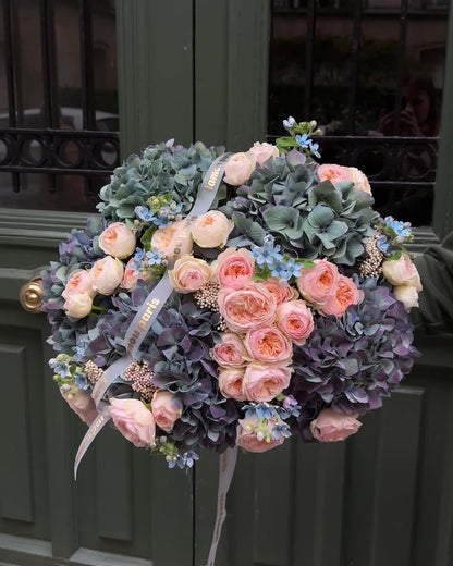 Peachy x Hydrangea ‘Pimpernel’