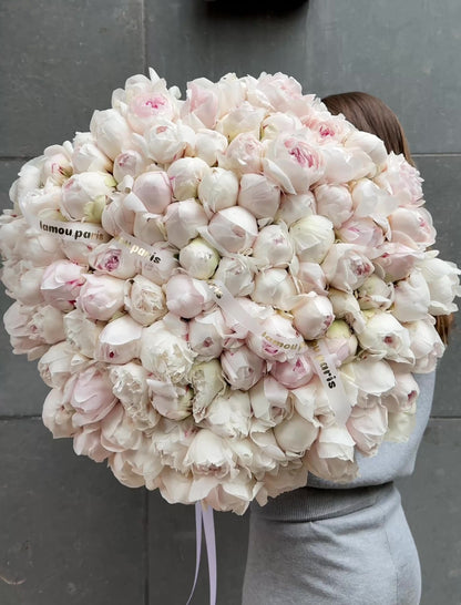 101 pivoines blush