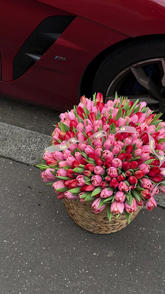 201 Red x Pink Tulips Panier XL