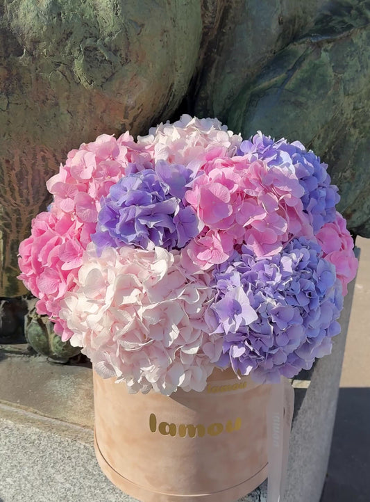 Unicorn Hydrangeas in a Box L