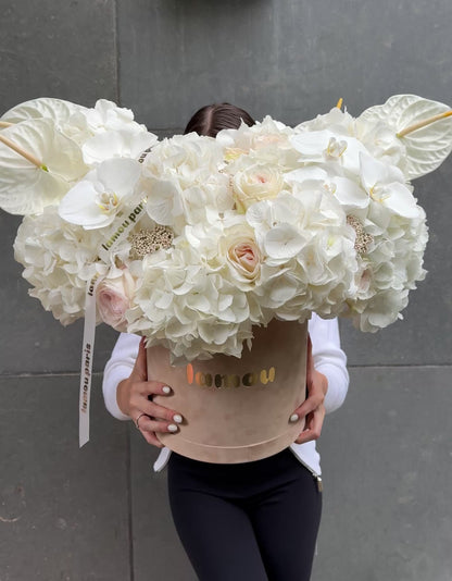 White Elegance in a Box L