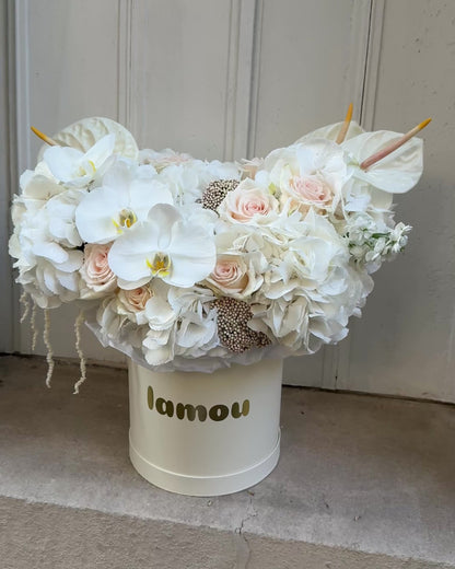 White Elegance in a Box M